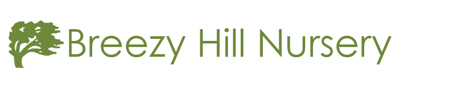 Breezy Hill Nursery - Wholesale